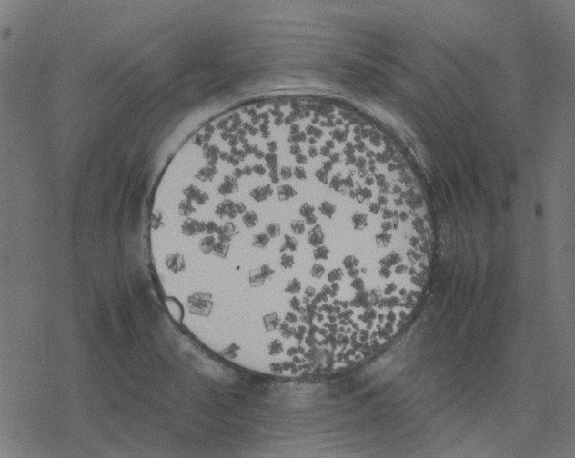 X0000078241374200612011554