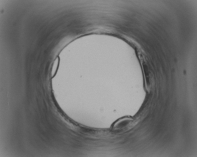 X0000078241375200612011554