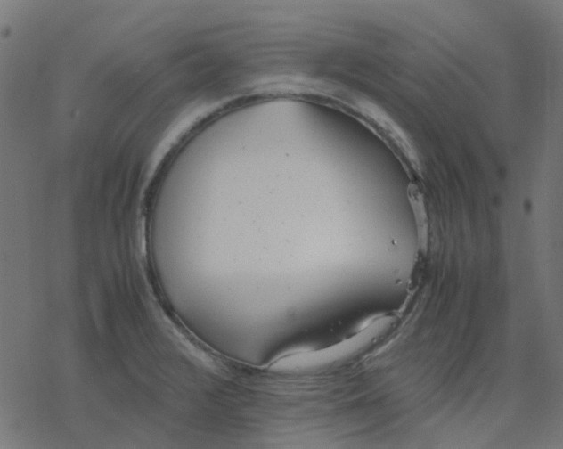 X0000078241376200612011554