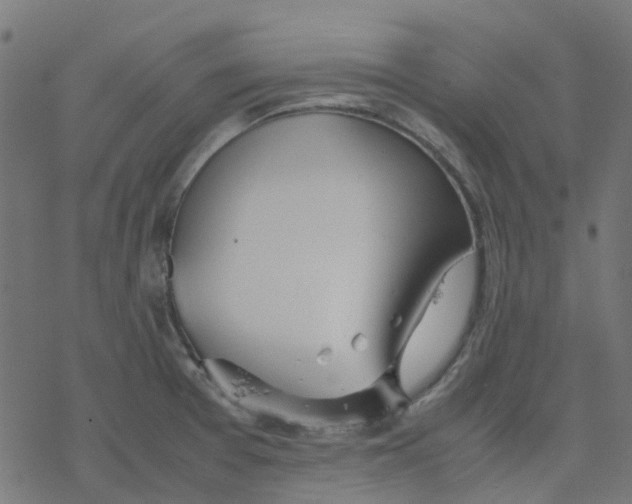 X0000078241377200612011554