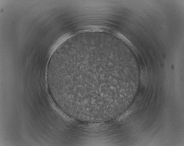 X0000078241378200612011554