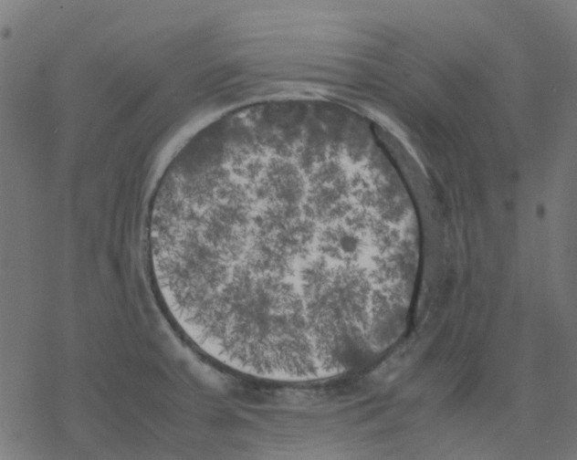 X0000078241379200612011554