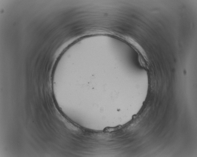 X0000078241380200612011554