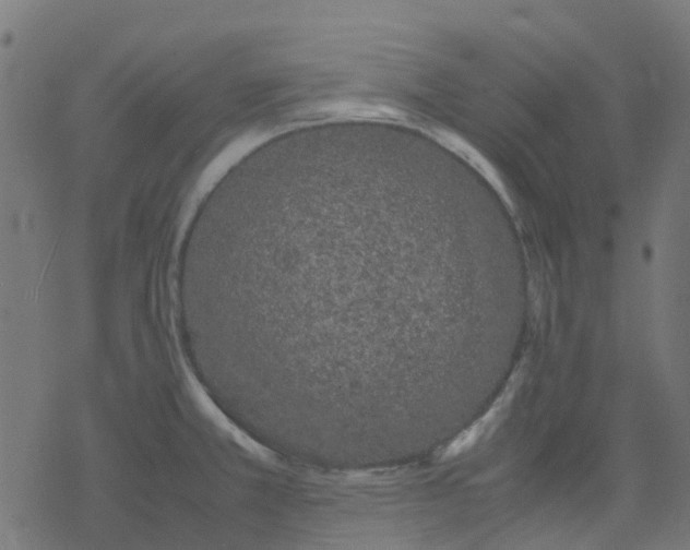 X0000078241381200612011554