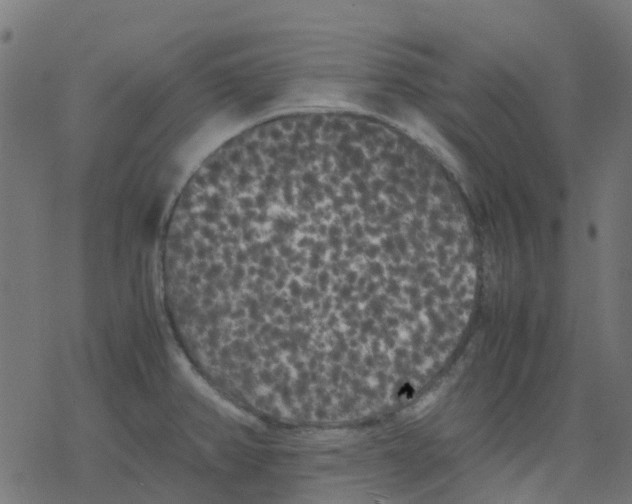 X0000078241382200612011554