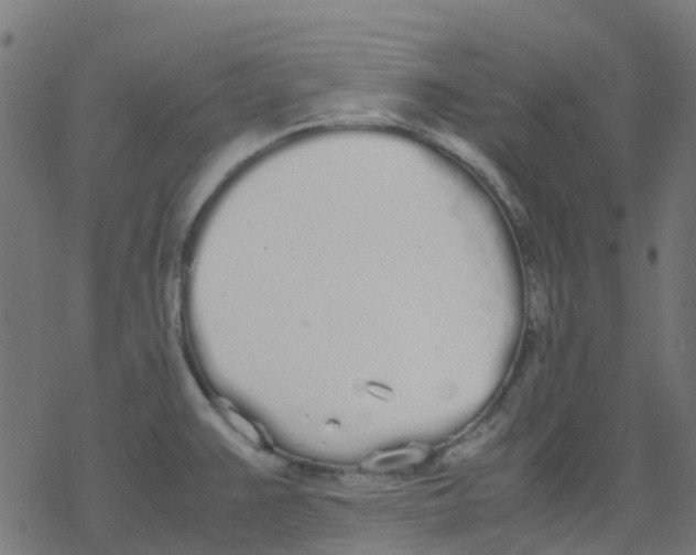 X0000078241383200612011554