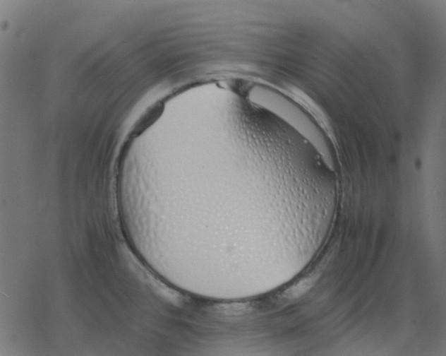 X0000078241384200612011554