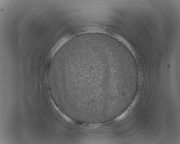 X0000078241385200612011554