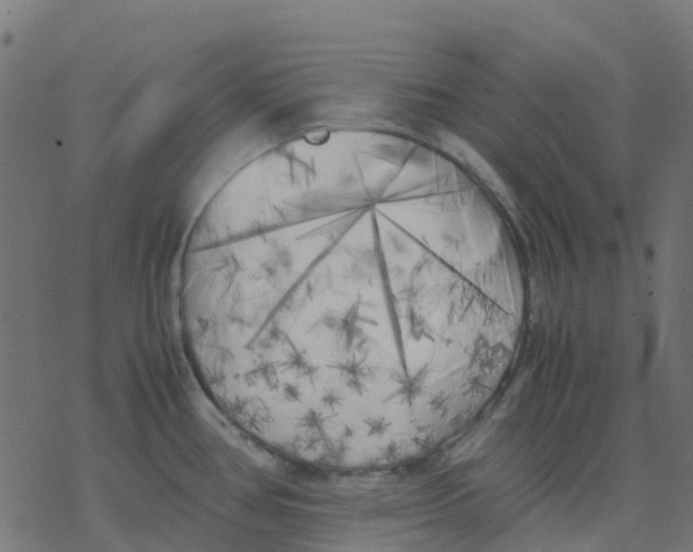 X0000078241386200612011554