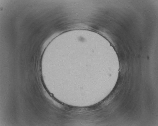 X0000078241387200612011554