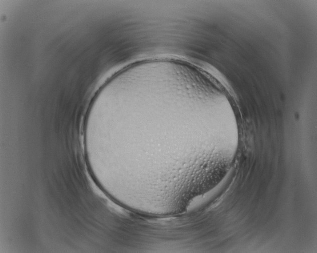 X0000078241388200612011554