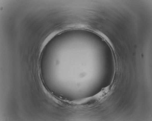 X0000078241389200612011554