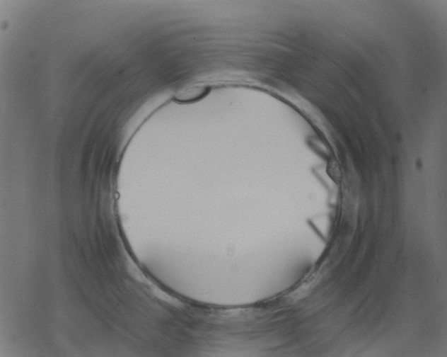 X0000078241390200612011554