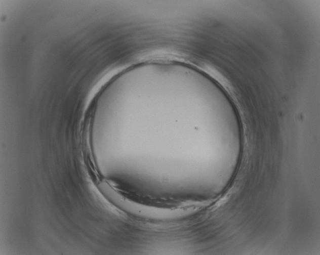 X0000078241392200612011554