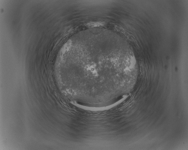 X0000078241393200612011553