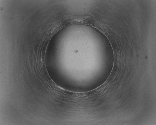 X0000078241394200612011553