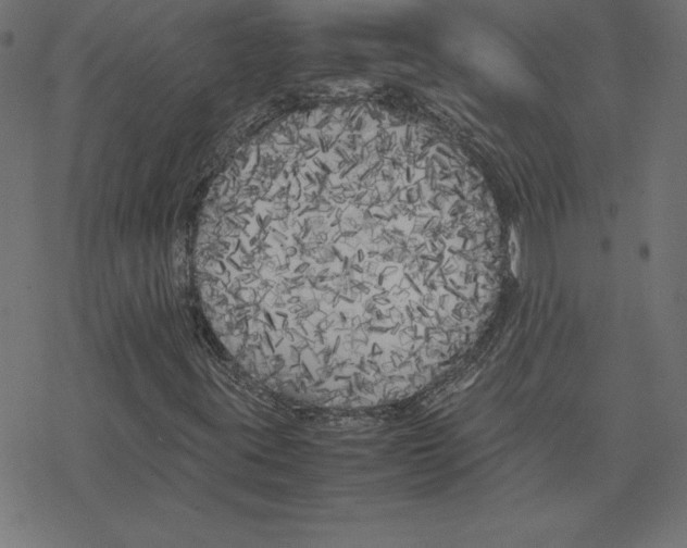 X0000078241395200612011553