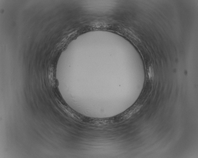 X0000078241396200612011553