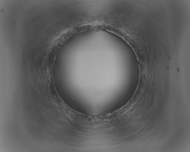 X0000078241398200612011553