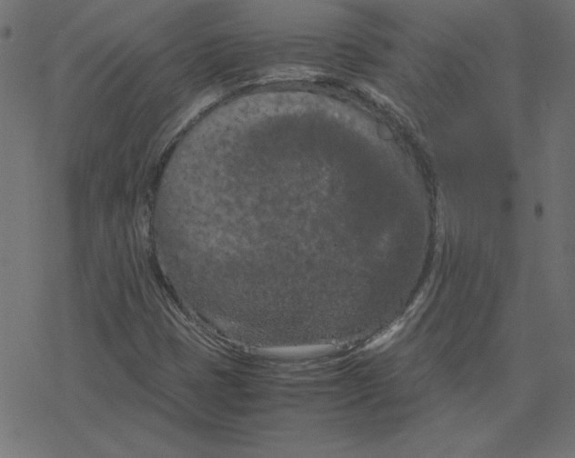 X0000078241401200612011553