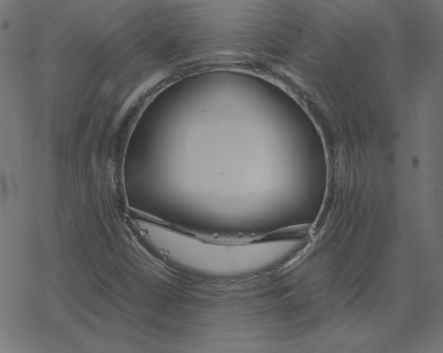 X0000078241402200612011553