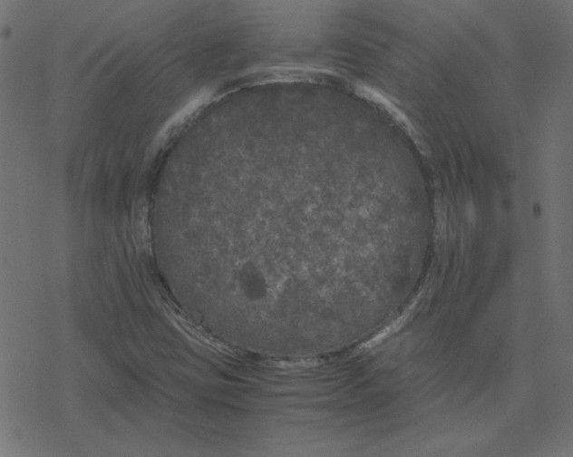 X0000078241403200612011553