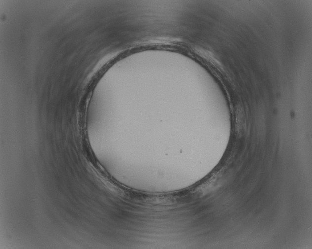 X0000078241404200612011553