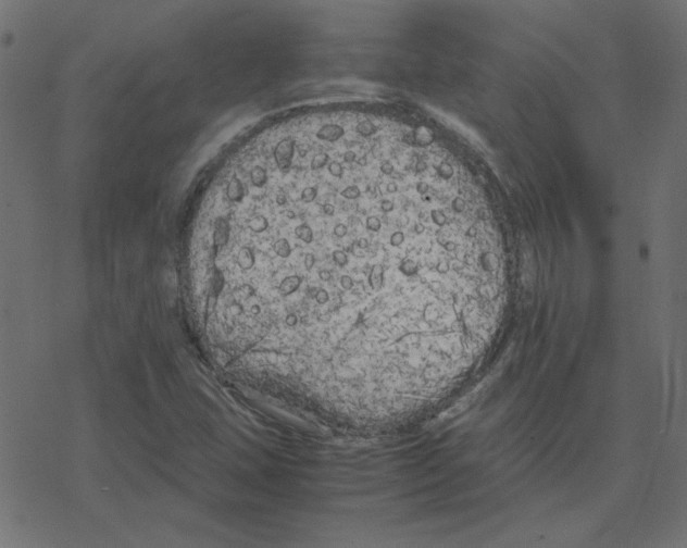 X0000078241407200612011553