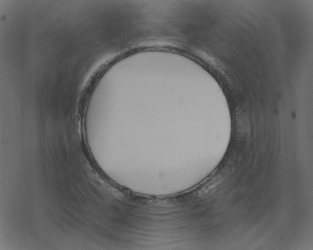 X0000078241408200612011553