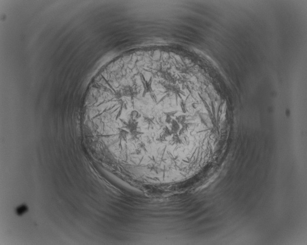 X0000078241409200612011553