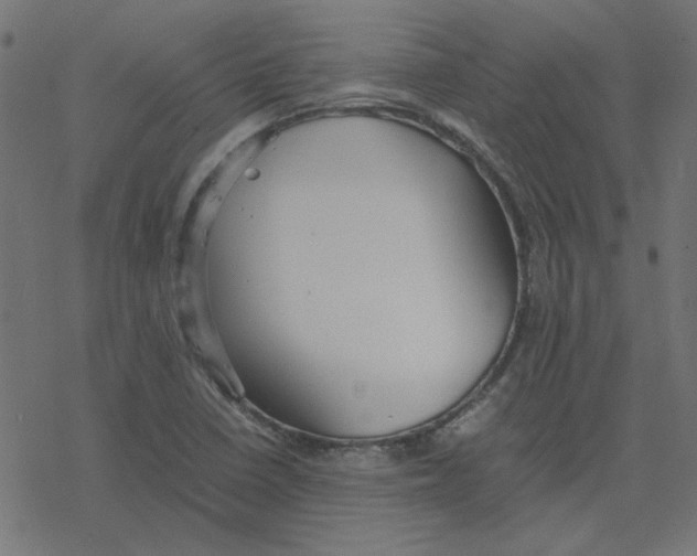 X0000078241410200612011553