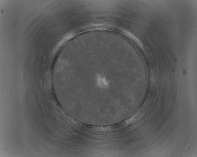 X0000078241411200612011553