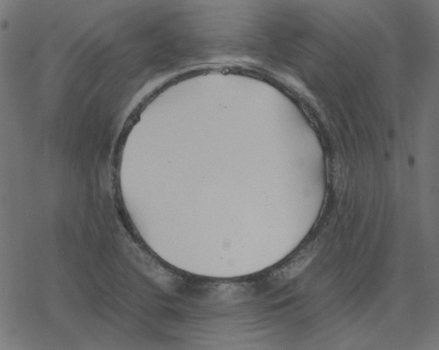 X0000078241412200612011553