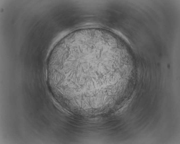 X0000078241413200612011553