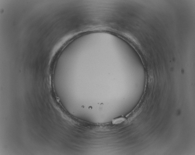 X0000078241414200612011553