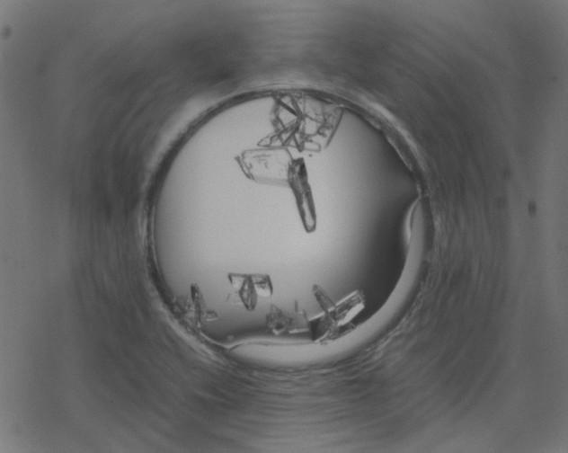 X0000078241416200612011553