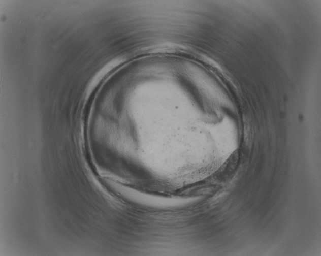 X0000078241418200612011553