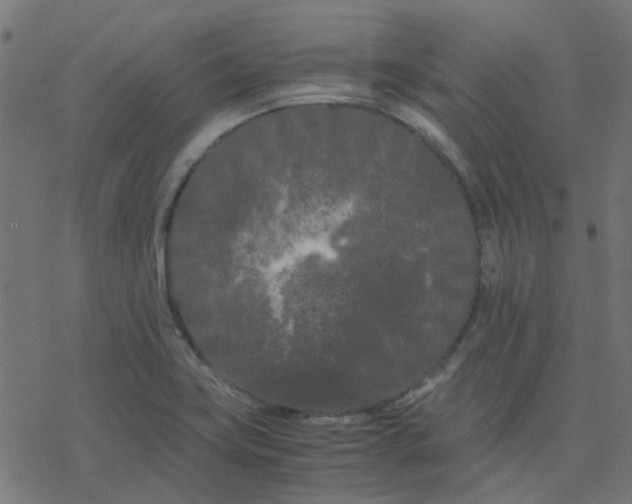 X0000078241419200612011553