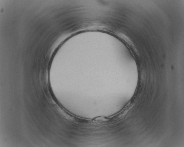 X0000078241420200612011553