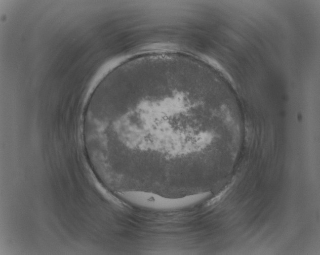 X0000078241421200612011553