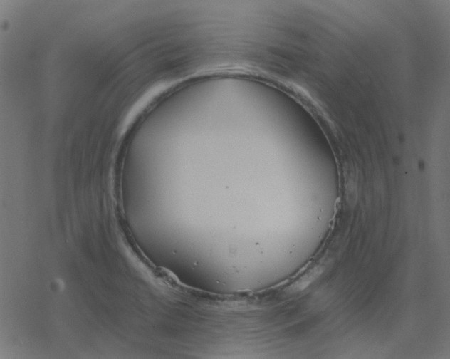 X0000078241422200612011553