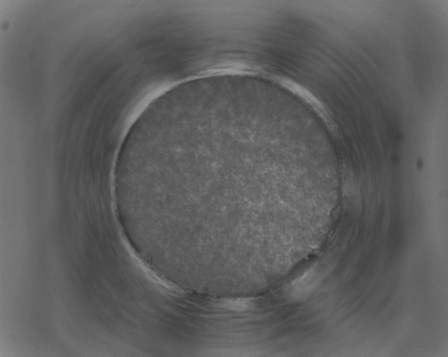 X0000078241423200612011553