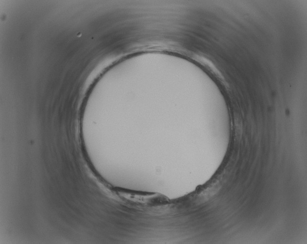 X0000078241424200612011553