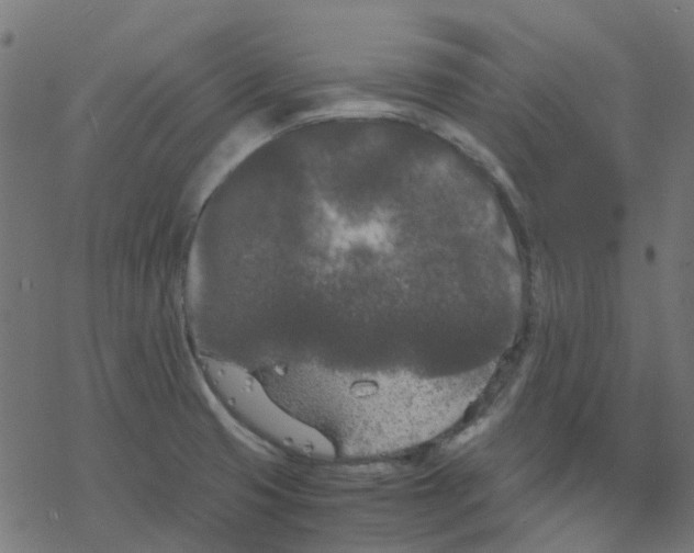 X0000078241425200612011553