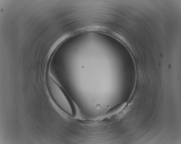 X0000078241426200612011553