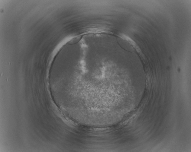 X0000078241427200612011553