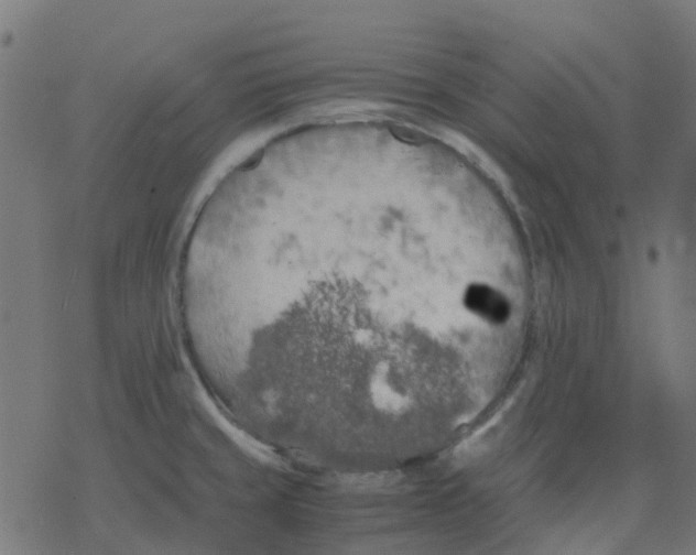 X0000078241429200612011553