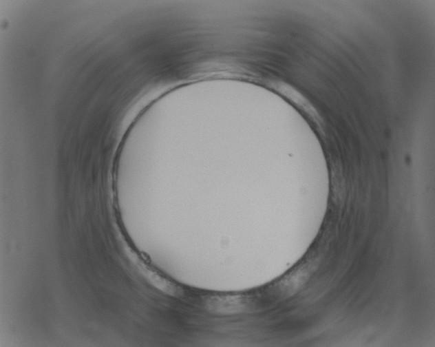 X0000078241431200612011553