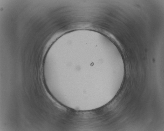 X0000078241432200612011553