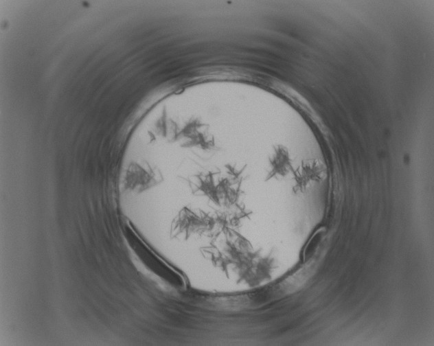 X0000078241433200612011553